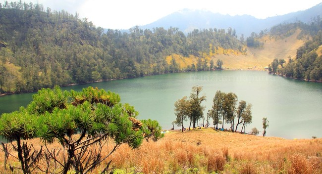 Mencapai Klimaks di Puncak Mahameru