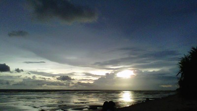 Mencari Alga di Pantai Sayang Heulang