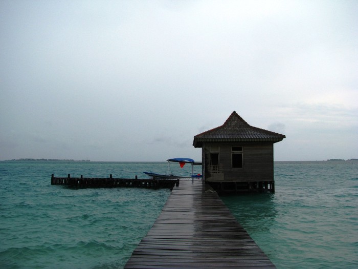 Mencari Nemo, Bertemu Hiu