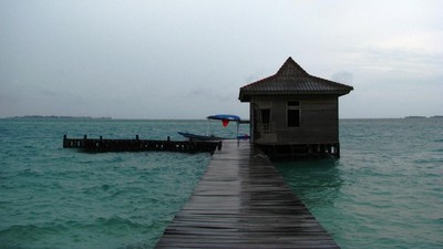 Mencari Nemo, Bertemu Hiu