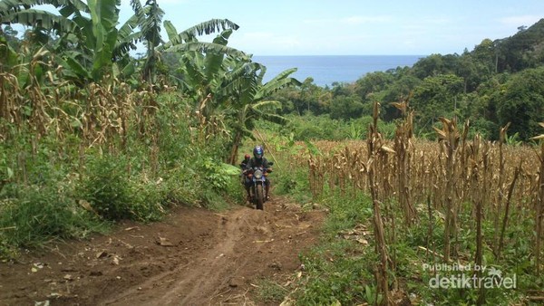 Mencari yang Perawan di Tulungagung
