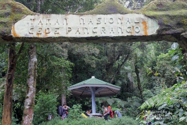 Mendaki Gunung Gede, Asyiknya Wajib Dicoba