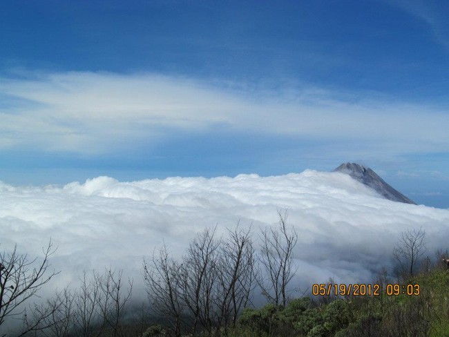 Mendaki Si Cantik Gunung Merbabu