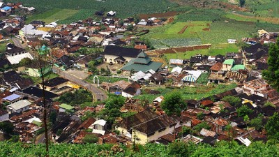 Menembus Awan di Kebun Teh Tambi, Dieng