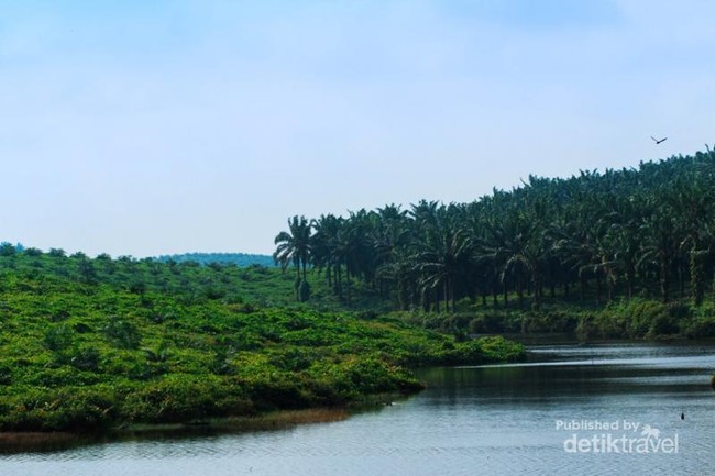 Menengok Megahnya Istana Siak di Riau