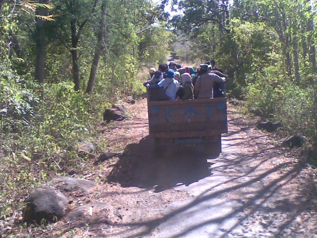 Mengamati Keanekaragaman Satwa di Africa van Java