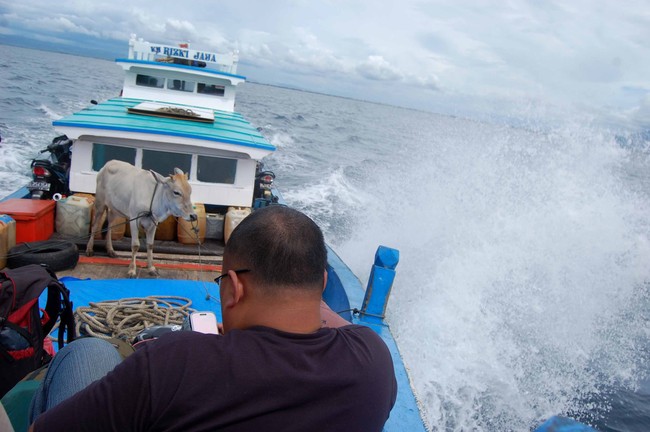 Mengembara ke Pulau Breueh