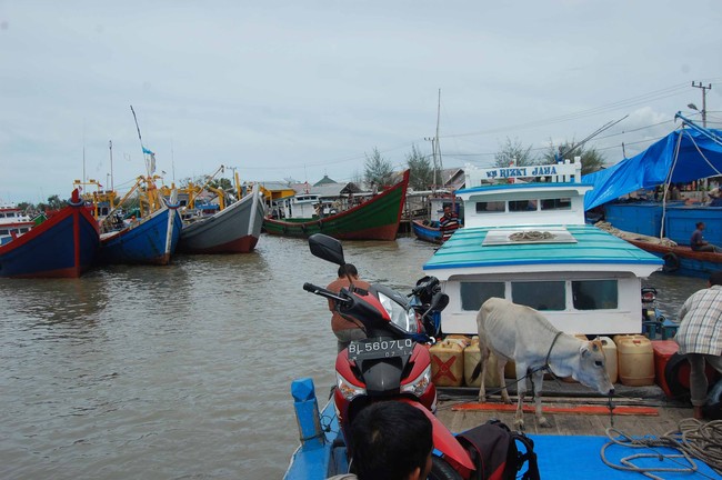 Mengembara ke Pulau Breueh
