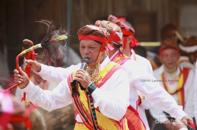 Mengenal Tradisi Congko Lokap di Manggarai, Flores