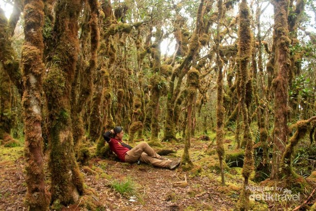 Menginjak Titik Tertinggi Sulawesi