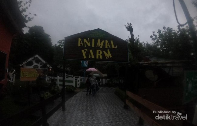 Mengintip Kawasan Peternakan di Eco Green Park Batu