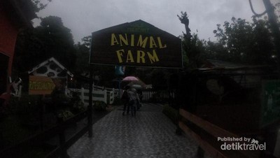 Mengintip Kawasan Peternakan di Eco Green Park Batu