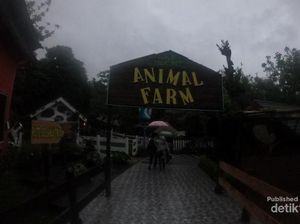 Mengintip Kawasan Peternakan di Eco Green Park Batu