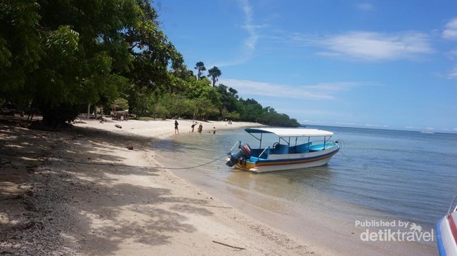 Mengkhayal Bersantai di Pantai Bama yang Indah