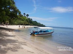 Mengkhayal Bersantai di Pantai Bama yang Indah
