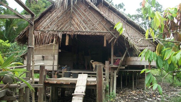 Mengunjungi Rumah Sikerei