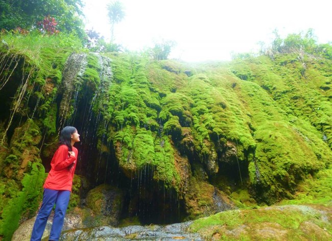 Menikmati Alam Hijau Baturaden di Purwokerto