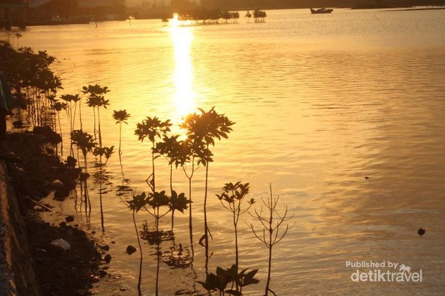Menikmati Indahnya Sunset di Kuala Cangkoi, Banda Aceh