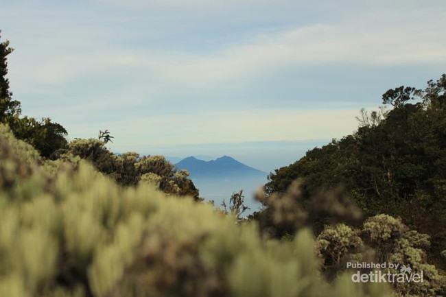 Menikmati Keheningan Lembah Mandalawangi