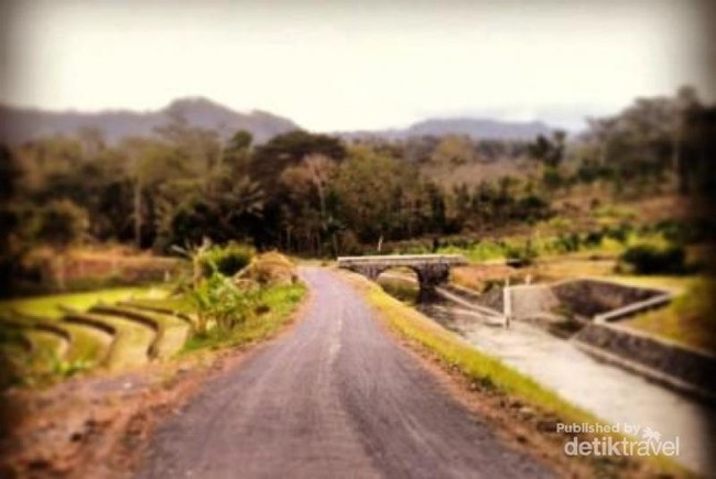 Menikmati Pegunungan Menoreh, Kulonprogo