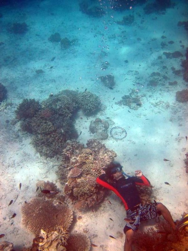Menjangan, Jawaban Bagi Para Pencari Ketenangan di Bali