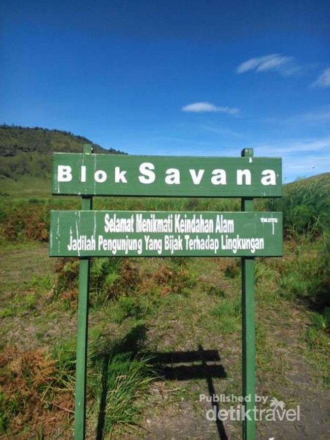 Menjelajah Bukit Teletubbies di Bromo
