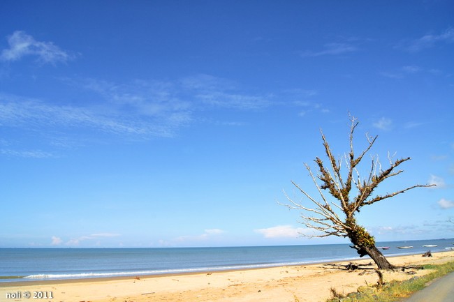 Mentari Pagi yang Sempurna di Pantai Pagatan, Kalsel