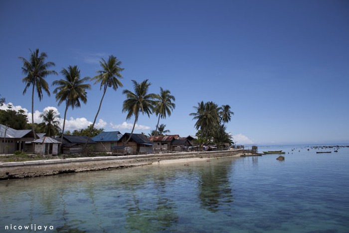 Menuju Ora, Potret Desa Saleman