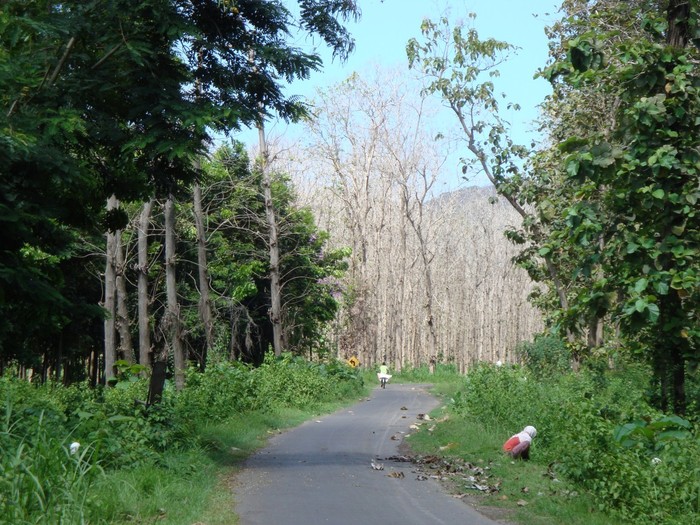 Menuju Tanjung Papuma