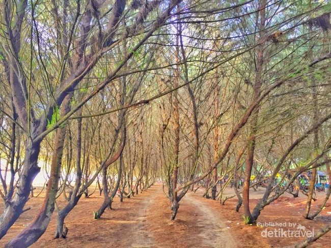Menyambut Matahari di Pantai Sine, Tulungagung