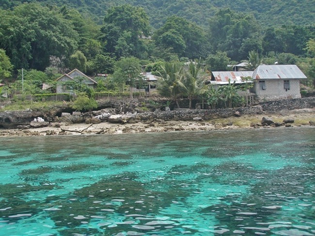 Menyelam di Perairan yang sangat Jernih