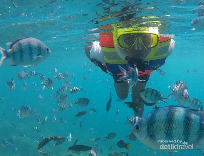 Menyelami Indahnya Kepulauan Karimunjawa