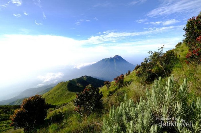 Merbabu, Indah Nian Dirimu