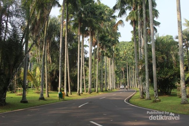 Minggu Besok ke Bogor Yuk, ke Oase Menyejukkan Ini