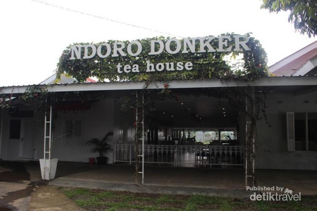 Minum Teh Langsung di Perkebunannya yang Cantik