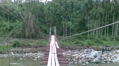 Miris! Bertaruh Nyawa untuk Sampai Kebun Sawit di Aceh