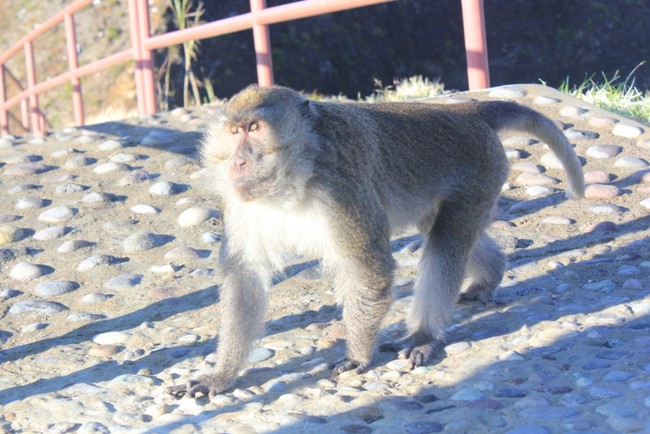 Misteri di Danau Kelimutu