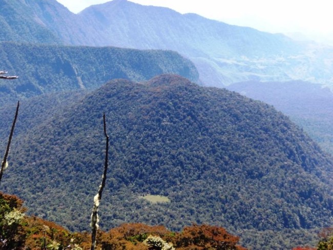 Mitos Pasar Setan di Tengah Hutan Sulawesi Selatan