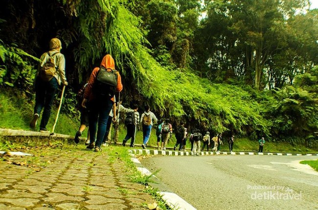 Mumpung Weekend, Hiking ke Tangkuban Perahu Saja