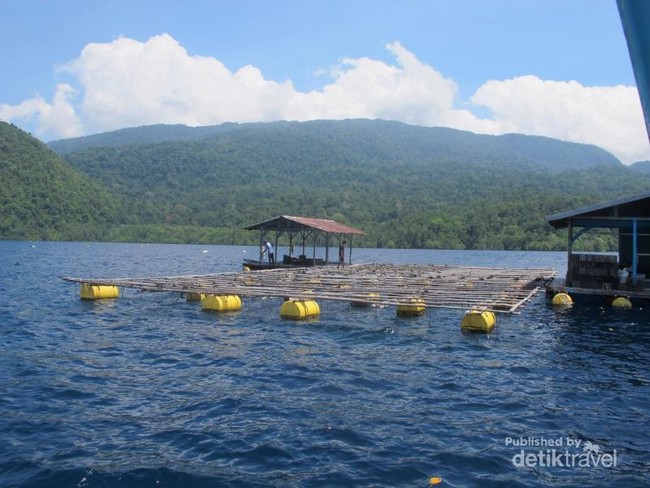 Mutiara di Raja Ampat