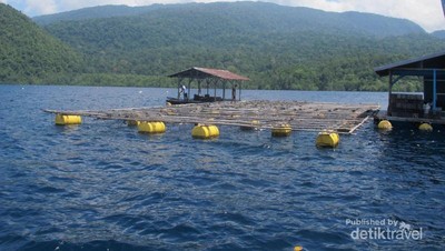 Mutiara di Raja Ampat