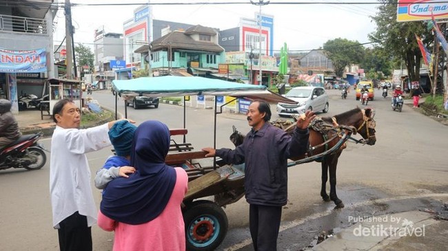Naik Delman Keliling Lembang, Mesti Coba Nih!