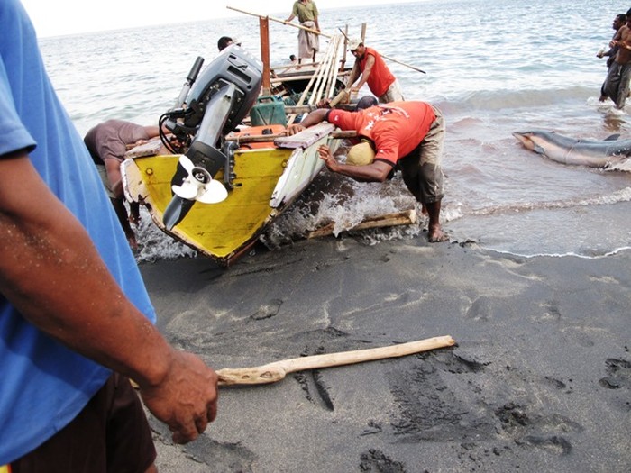 Nelayan dan Tangkapannya
