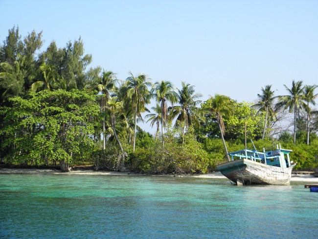Ngeri-ngeri Asyik! Berenang Bareng Hiu di Karimunjawa