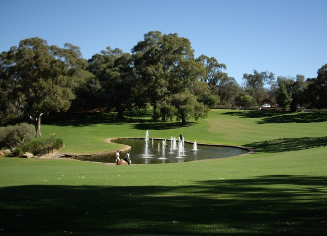 Nuansa Hijau Kota Perth di Kings Park