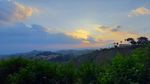 Panduan Biar Nggak Nyasar Kalau ke Bukit Moko Bandung