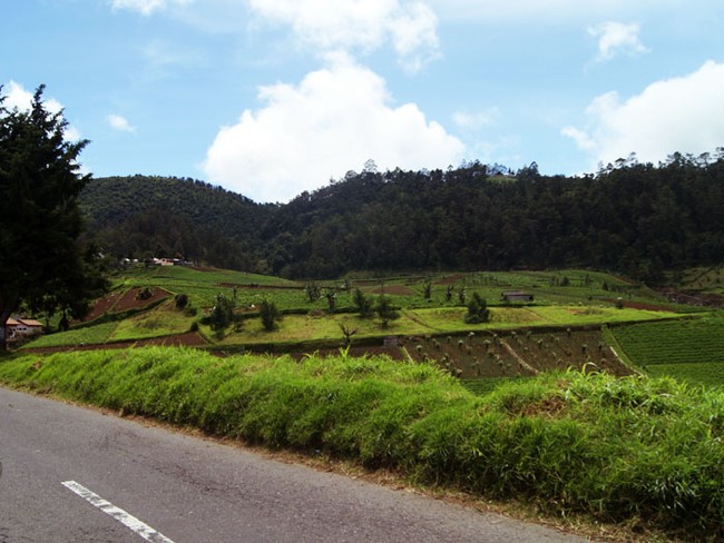 Panorama Menuju Gunung Kelud