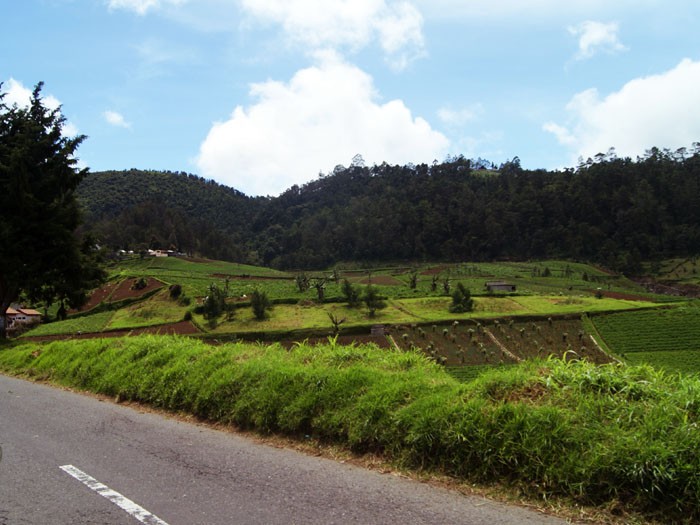 Panorama Menuju Gunung Kelud