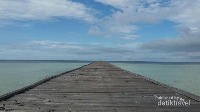 Pantai Cantik dan Anak Penyu Lucu di Sangalaki