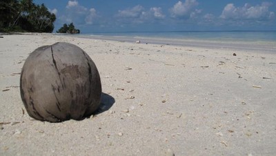 Pantai Daftel